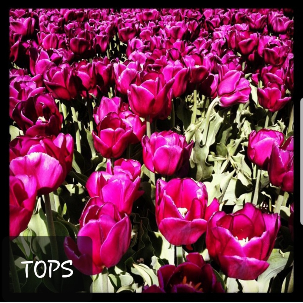 Tops